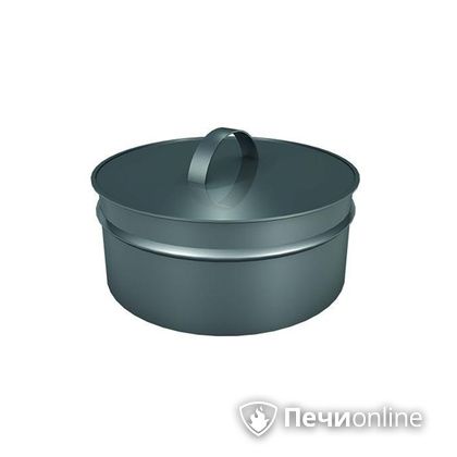 Заглушки Теплов и Сухов Заглушка ревизии Термо-Р 304 0.5 D300(200) в Ульяновске